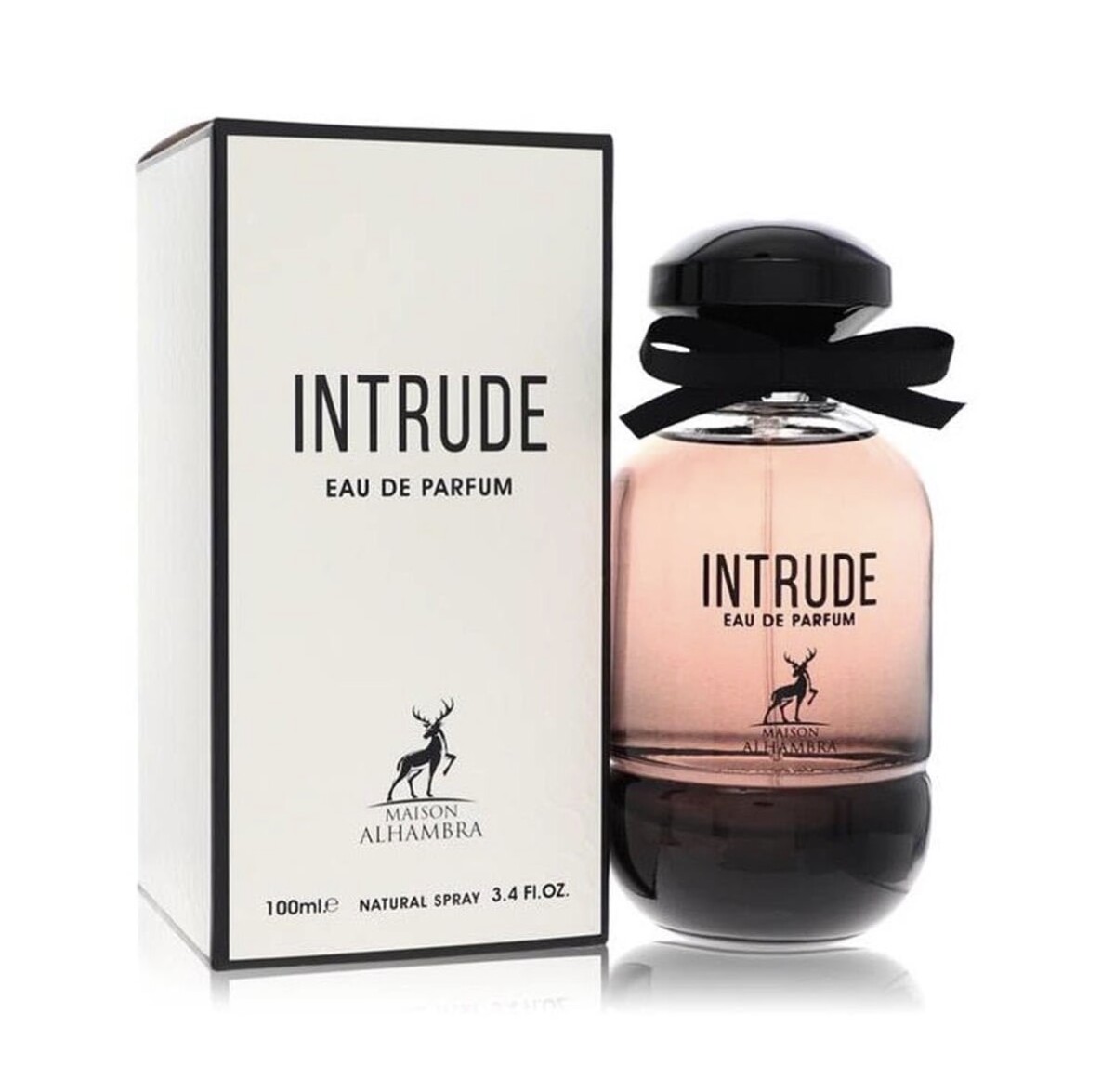 Intrude (L'Intrude)