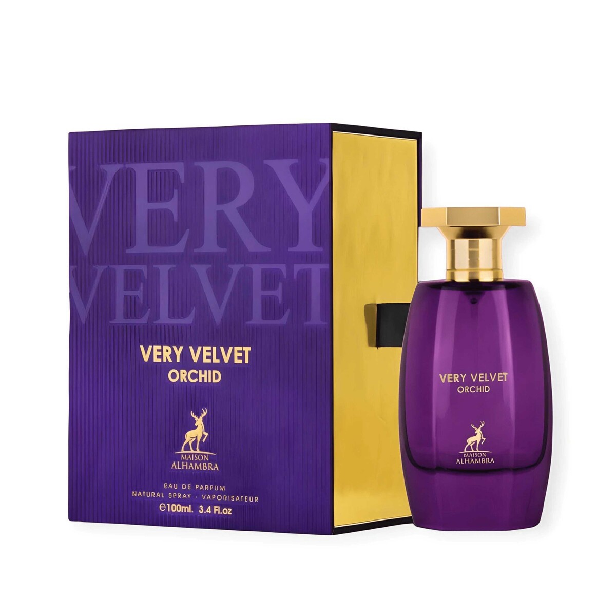 Very Velvet Orchid