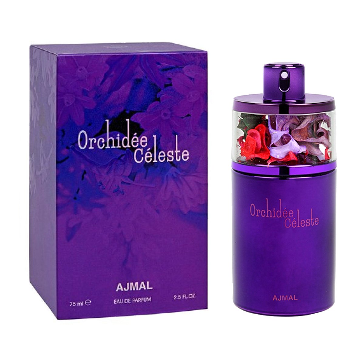 Orchidee Celeste